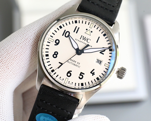 アイ・ダブリュー・シー内部構造